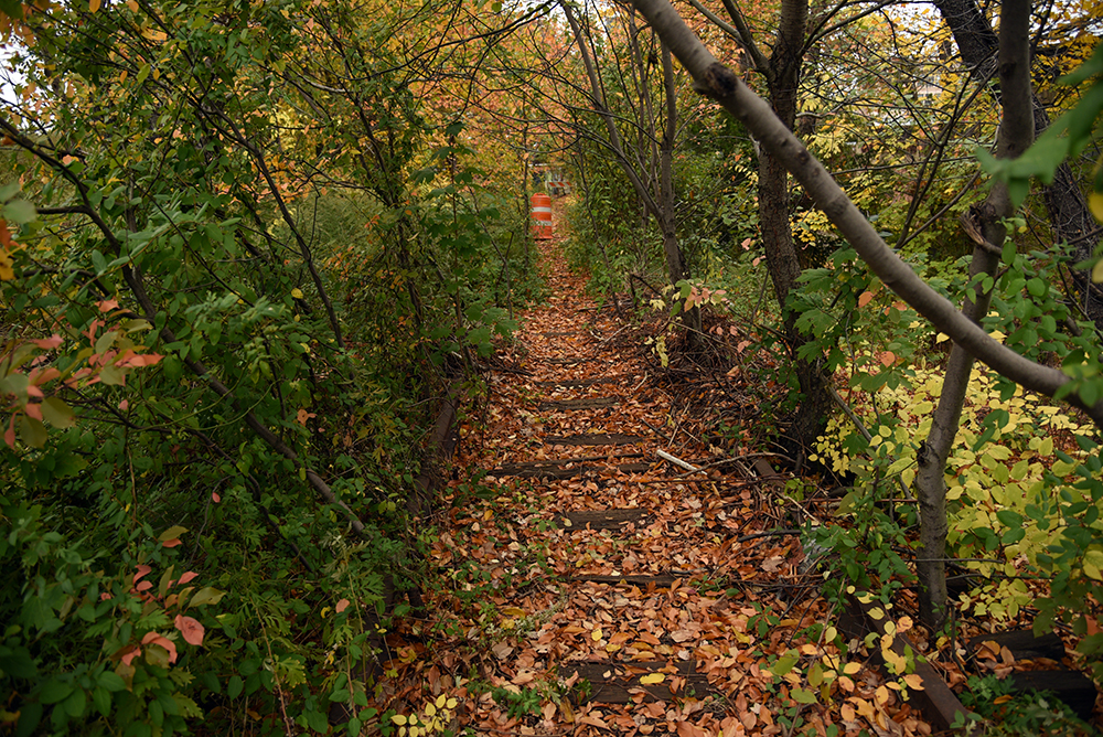 12_kensinger_montauk_cutoff_DSC_9753.jpg