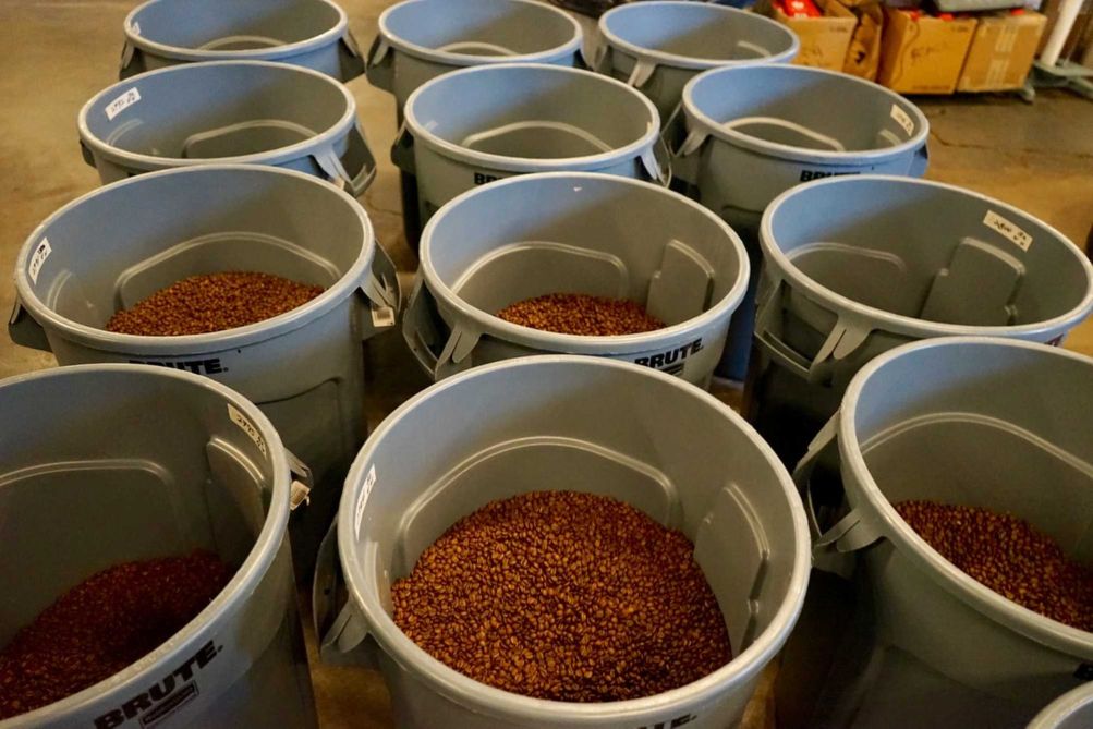 After roasting, the beans are cooled and stored