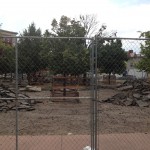 Park reconstruction